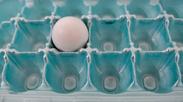 Egg Production Crisis 