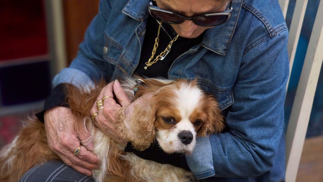 Israel Gaza Dog Rescue 