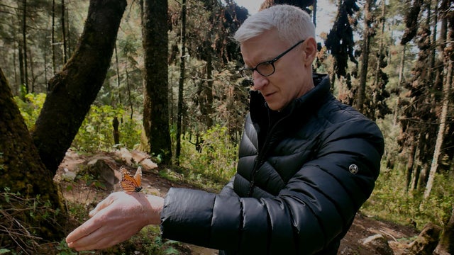 Anderson Cooper with a monarch butterfly 